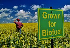 биоэтанол, топливо будущего