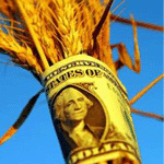 "Золотая" пшеница Glencore, или как заработать сотни миллионов долларов на засухе