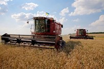 Украинские фермеры: захочешь есть - о хлебе заговоришь