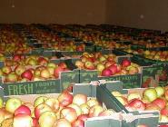 Яблочные санкции