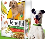 Purina Beneful от Nestle: корм для животных, который убивает?