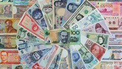 Главы ЦБ развивающихся стран обеспокоены падением национальных валют