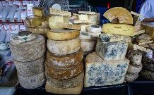 Камамбер по-кубански, или как возрождается отечественное производство сыра