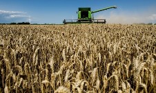 Как Россия вытесняет США с мирового зернового рынка