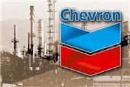 Chevron: засудить акционера