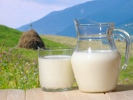 Русские санкции: Европе приходится спасать молоко, чтобы не прокисло