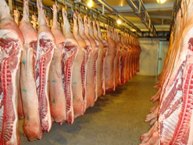 Bloomberg: к 2020 году Россия может стать крупным экспортером мяса