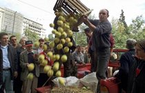 Кто должен сказать «спасибо» России за продовольственное эмбарго