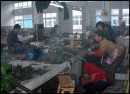 Китайская рулетка